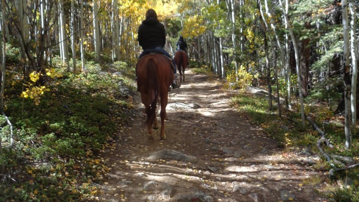 horse back rides near Denver A&A Stables