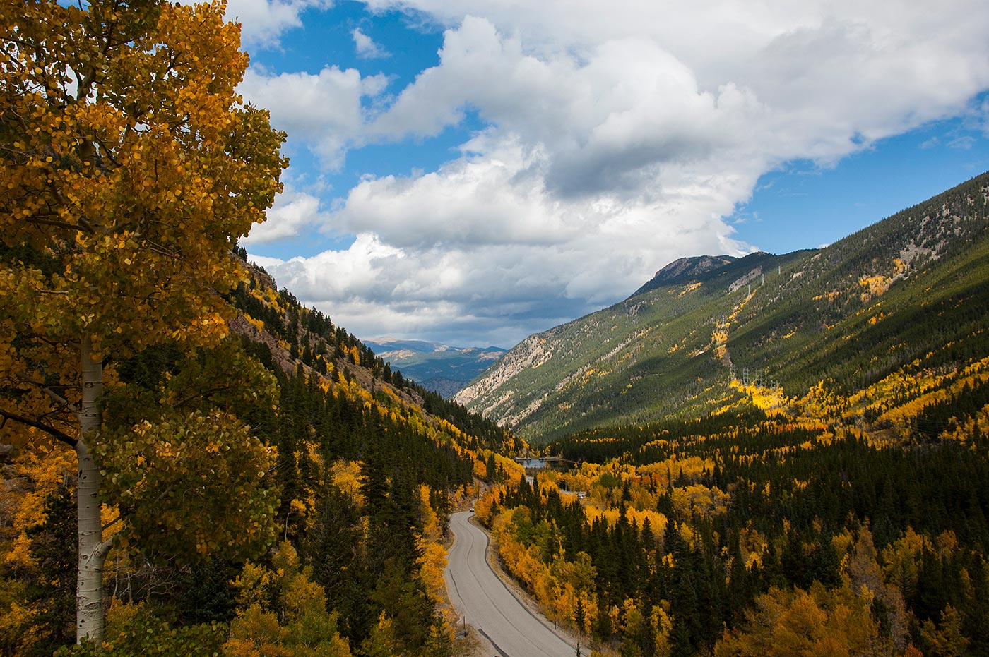 view of guanella pass and the vibrant yellow aspen leaves surrounding the road