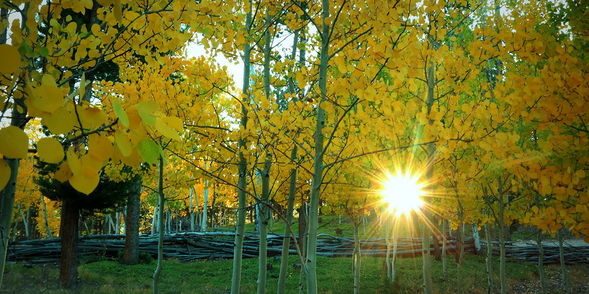 Frisbee Golf Clear Creek County Tourism Bureau