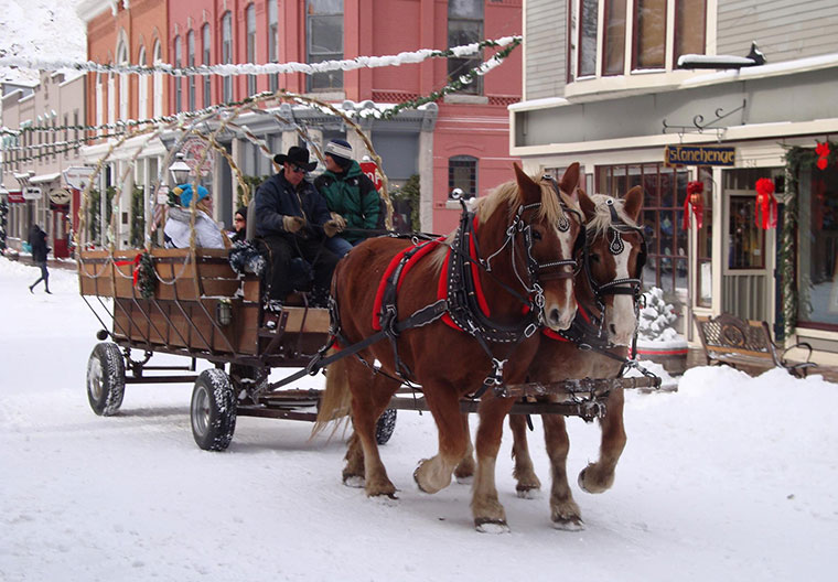 Georgetown Christmas Market horse-drawn Carriage trotting down a city street