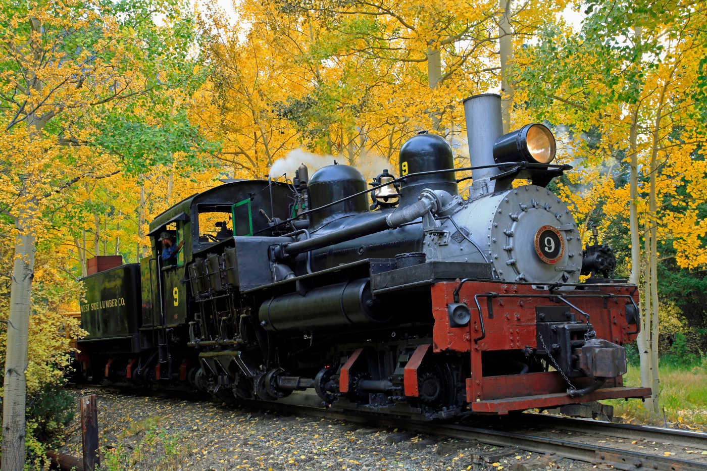 train in fall colors