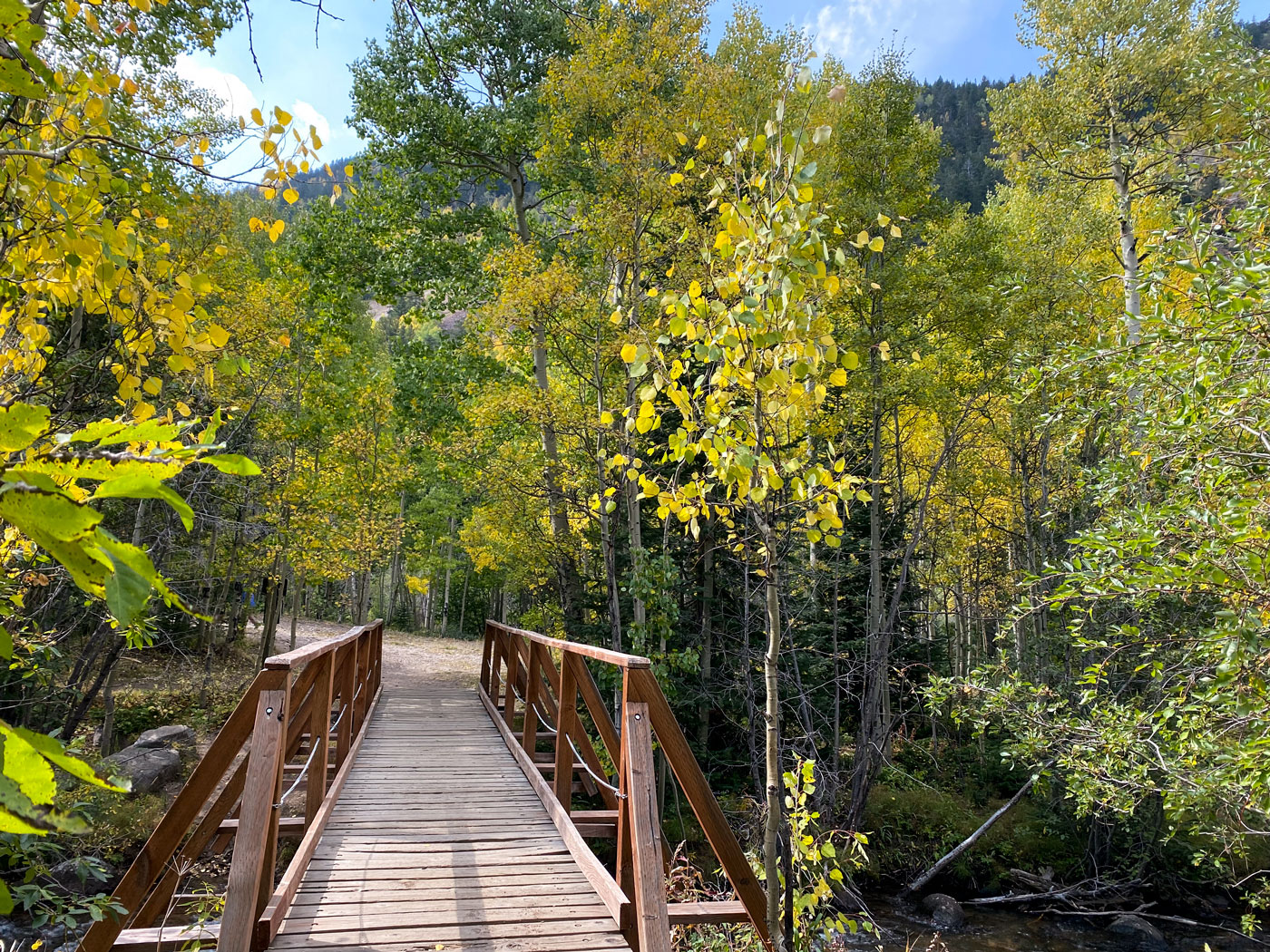 Silverdale Trail Guanella Pass Clear Creek County Colorado in the Fall