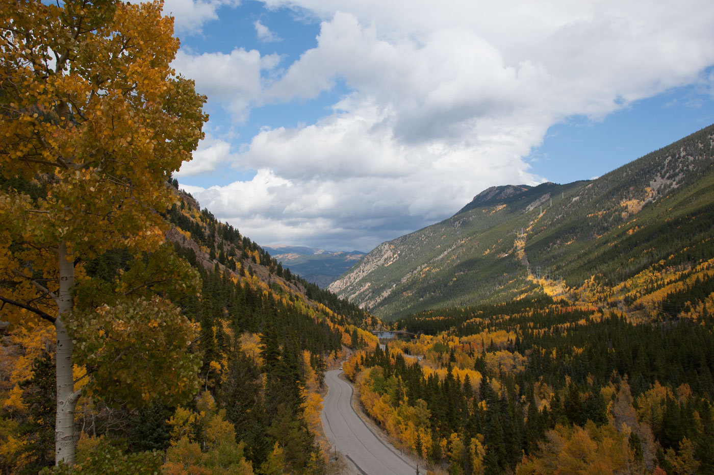 Fall Colors of Guanella Pass Colorado