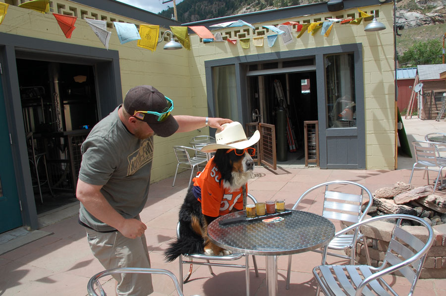 Parker the Snow Dog - Guanella Pass Brewery